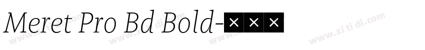 Meret Pro Bd Bold字体转换